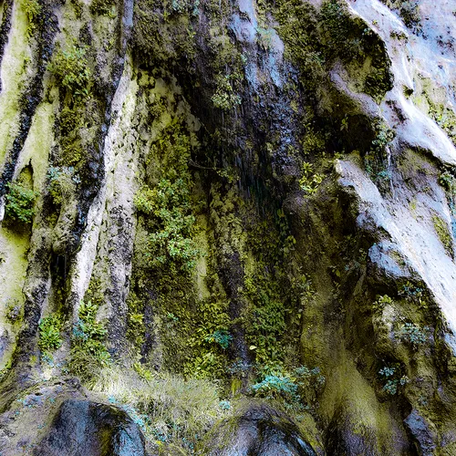 Zion 31