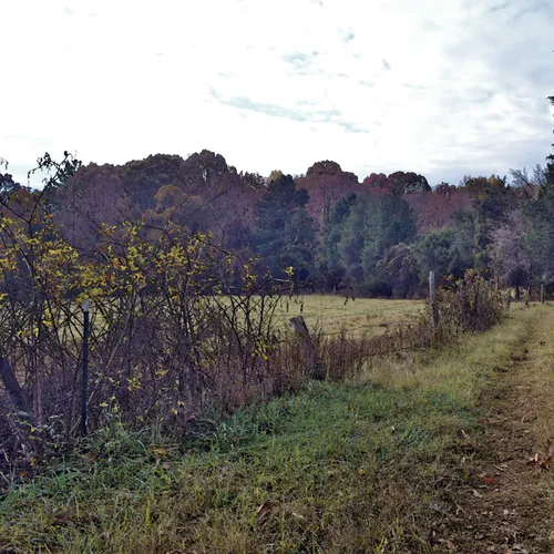 Poteat Road 3