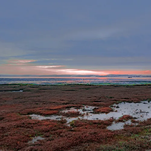 Morrobay 6