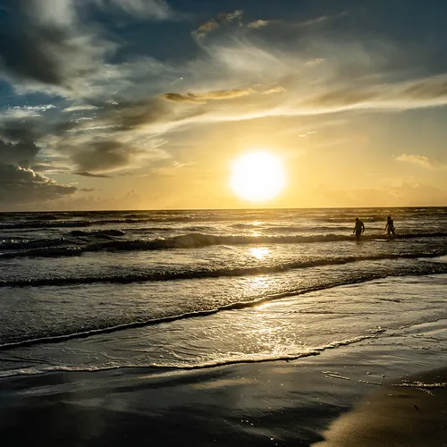 Nsb 26