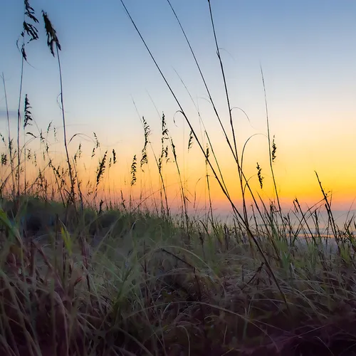 Sunrisehbsp 39