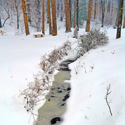 Yard Snow 6
