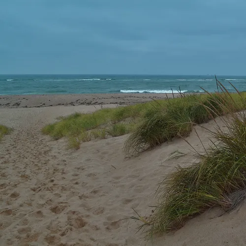 Cape Cod 14