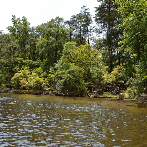 Yadkin-Peedee 30