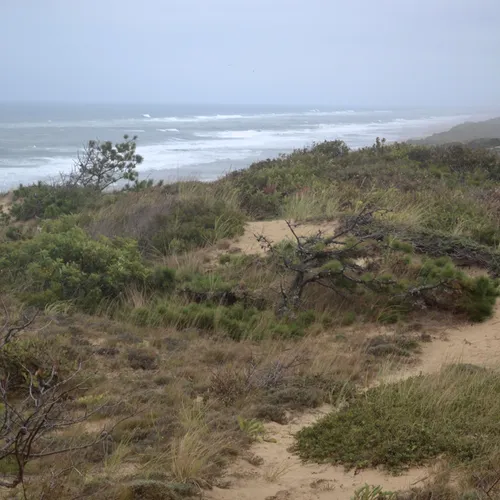 Cape Cod 6