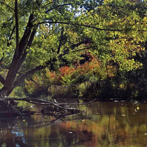 Kayak 4