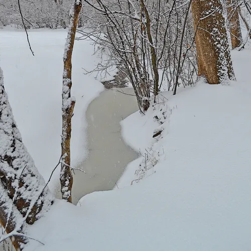 Yard Snow 2