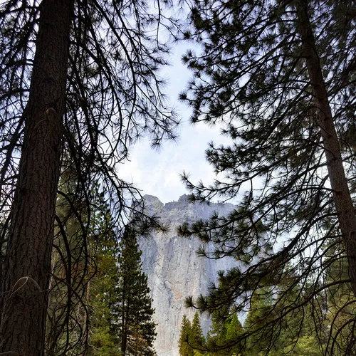 Yosemite 37