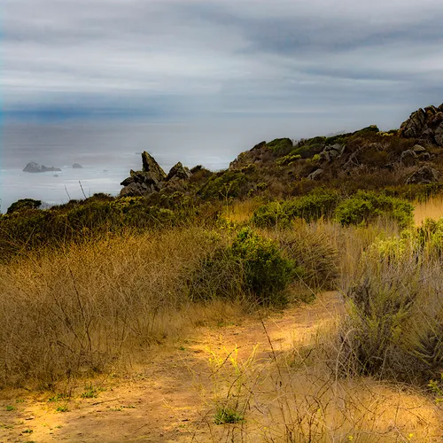 Pacifichighway 23