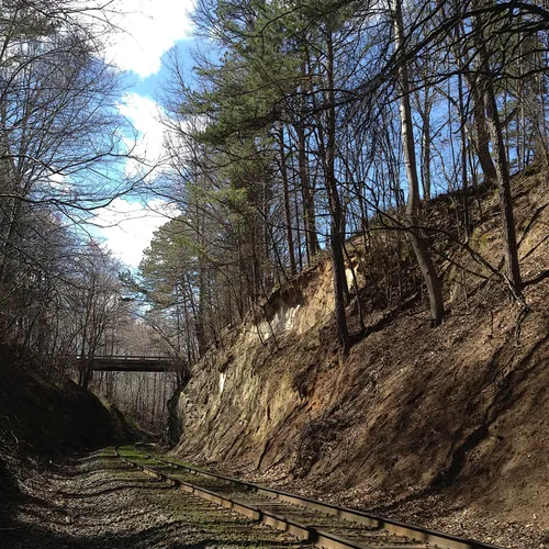 RR Track 7