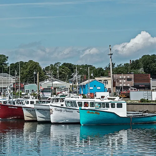 Northsidneyns 8
