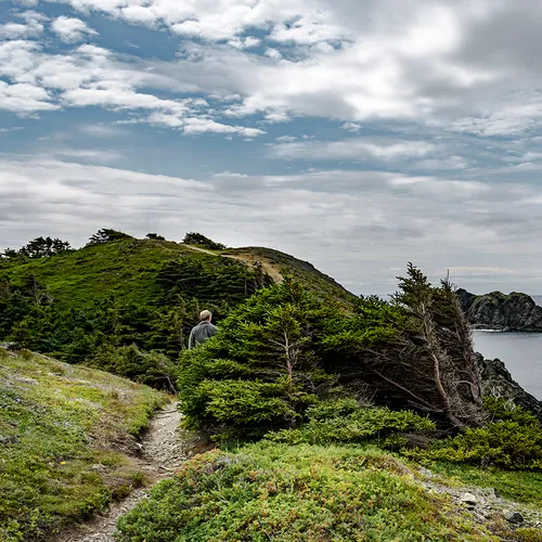 Twillingate 21