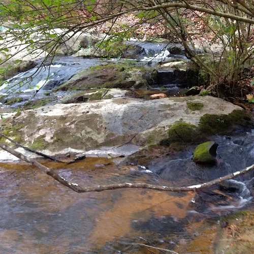 Uwharrie 4