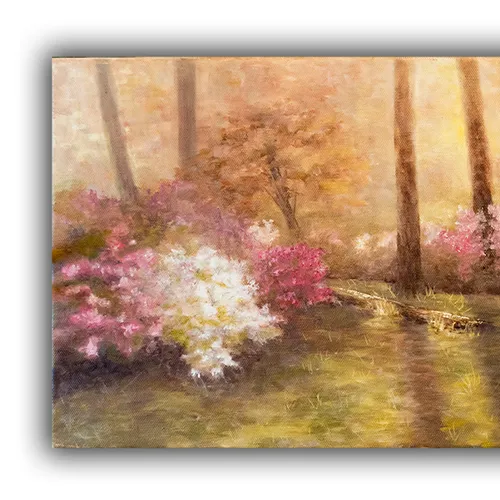 Sabra's Azaleas