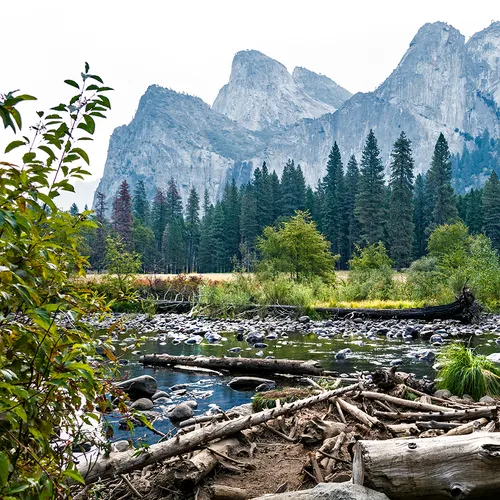 Yosemite 52