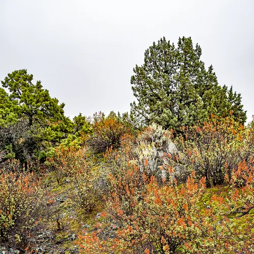 Idaholavafield 3