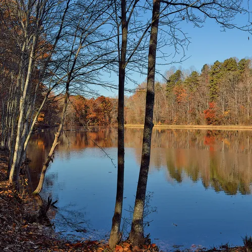 Landis Lake 4