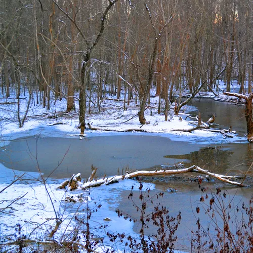 Snow 25