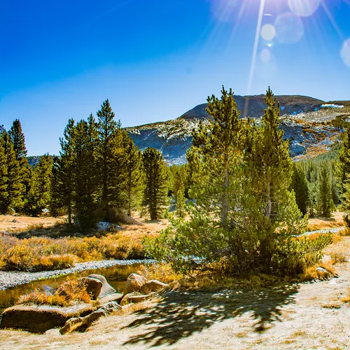 Yosemite 24