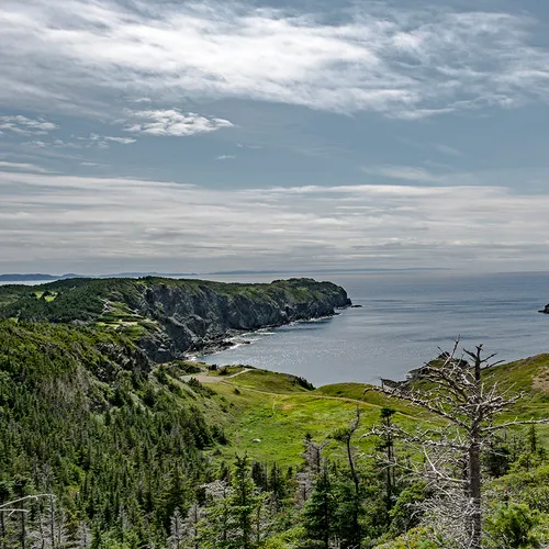 Twillingate 25