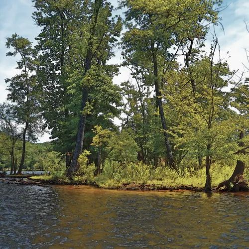 Yadkin-Peedee 25