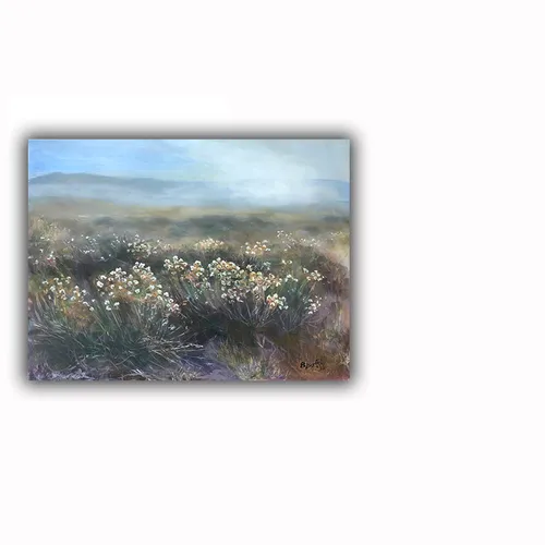 Monolake 2