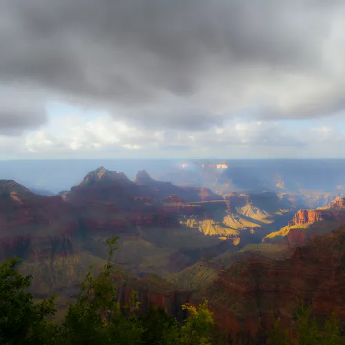 Northrim 11