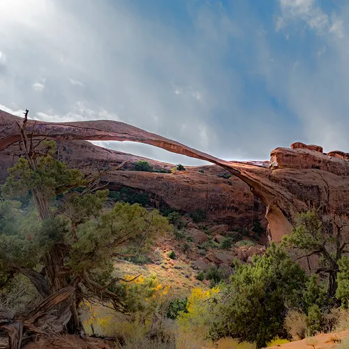 The Arches 1