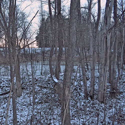 Snow 21