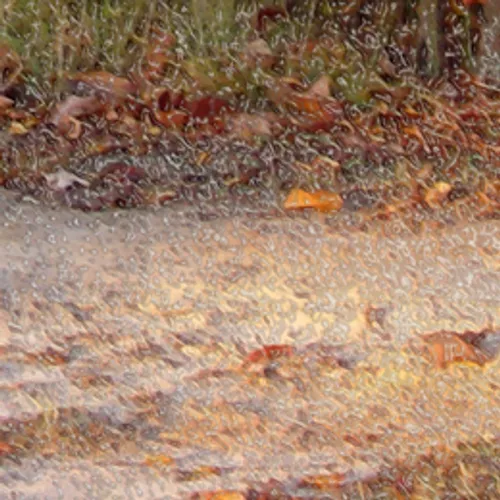 Autumn Ground