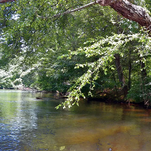 Yadkin-Peedee 20