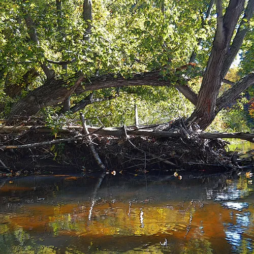 Kayaking 4