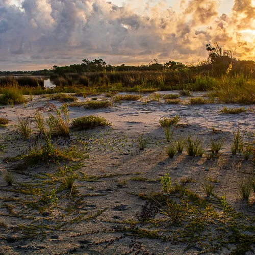 Sunrisehbsp 49
