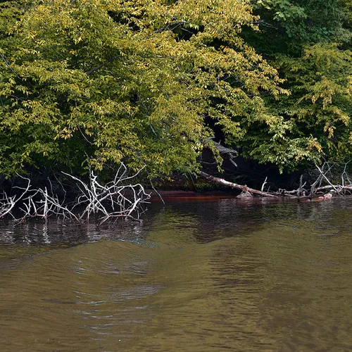 Yadkin-Peedee 4