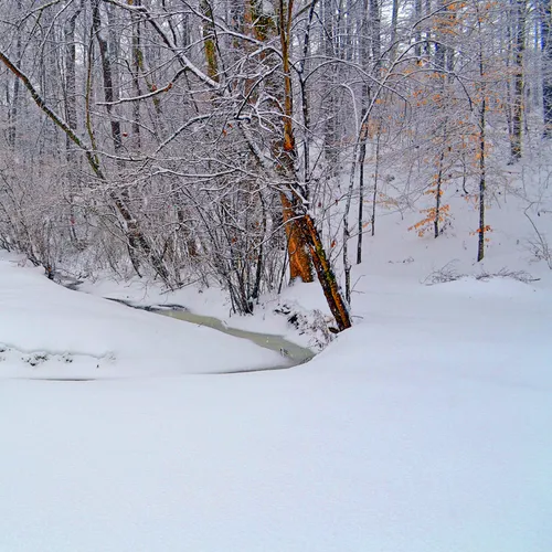 Yard Snow 4