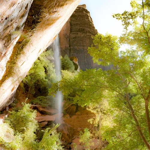Zion 10
