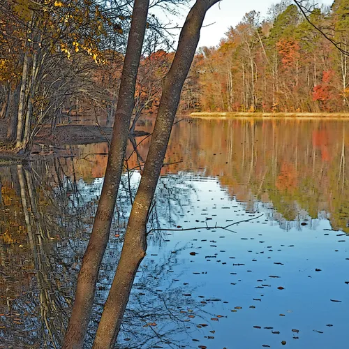 Landis Lake 2