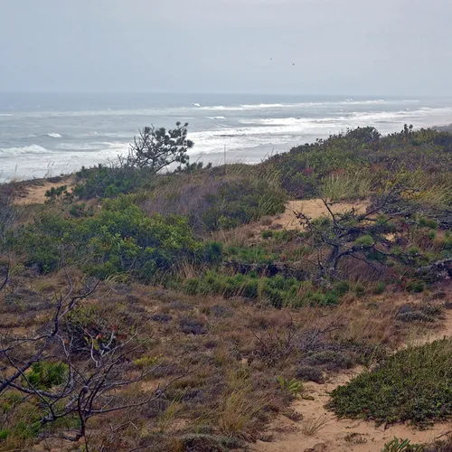 Cape Cod 3