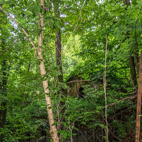 Kaymoor 16
