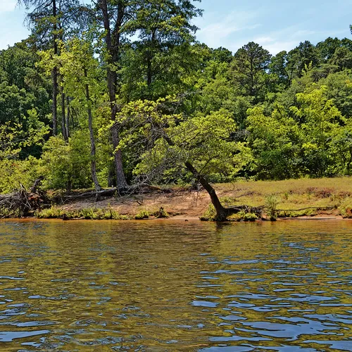 Yadkin-peedee 40