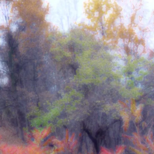 Treeunderpaint