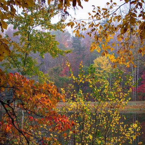 Corriher 2015 21