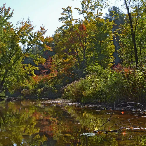 Kayak 1