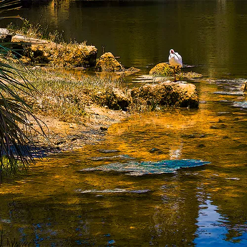 Crystalriver 3