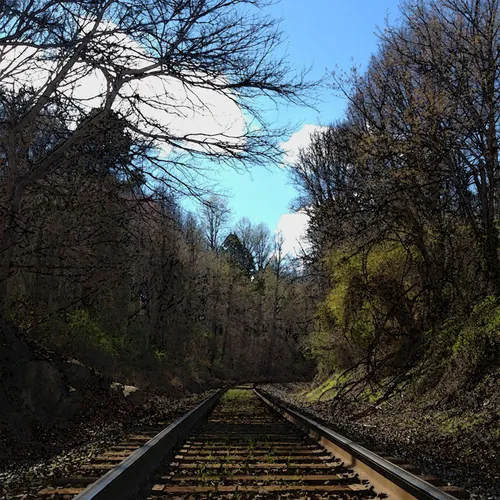 RR Track wc