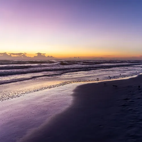 Nsb 46
