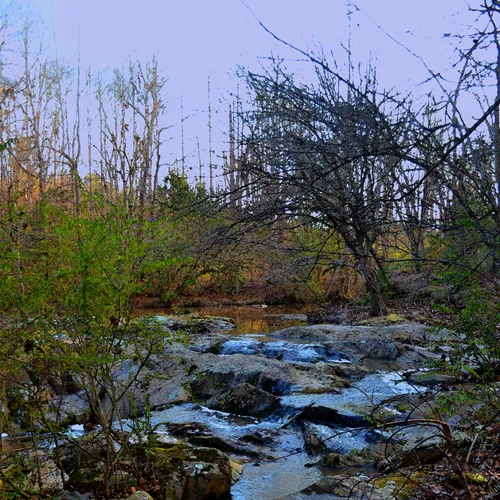 Uwharrie 2