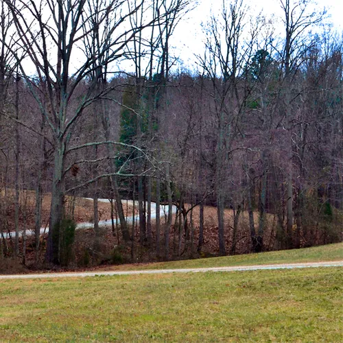 The Winding Road
