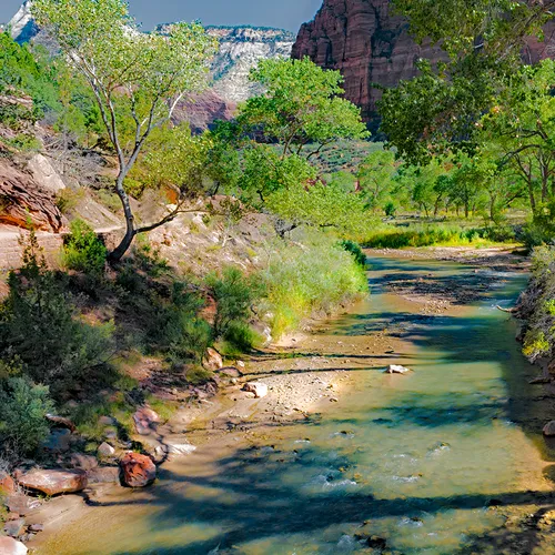 Zion 29