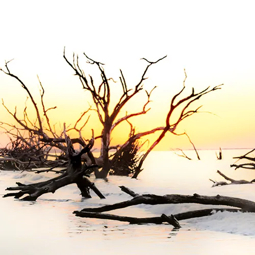Edistosunrise 33